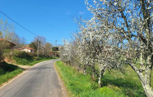 Sortie Interne CCV Mars